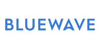 Blue wave logo